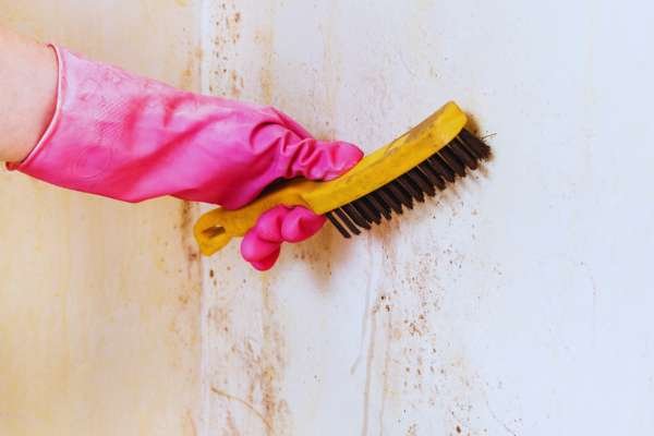 Cleaning the Wall Surface